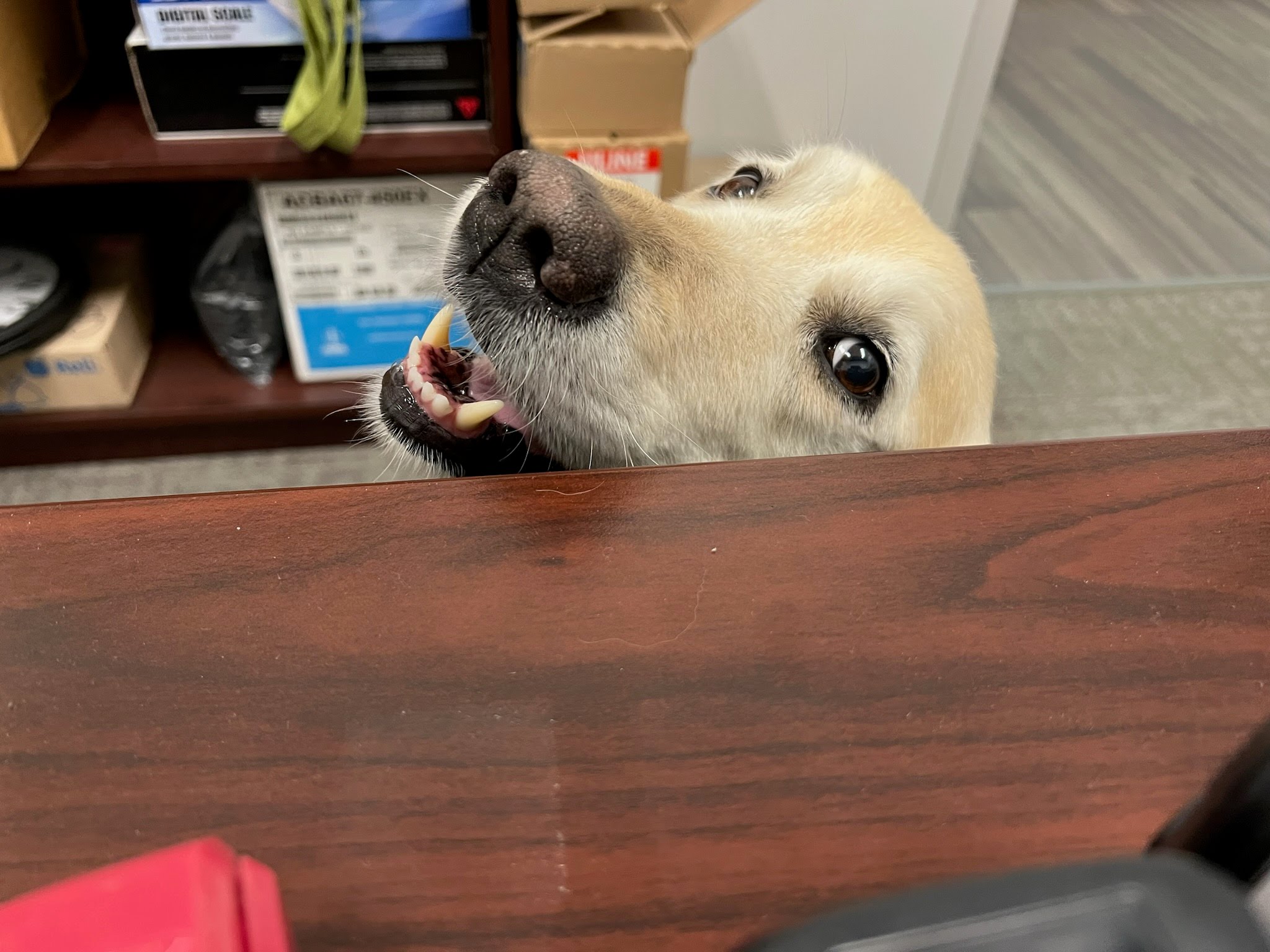 JPEG image-70064E685852-1